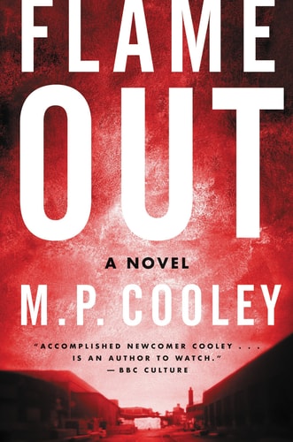 Flame Out: A Novel (The June Lyons Series)