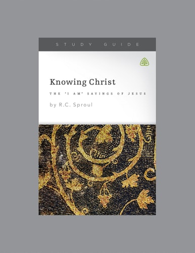 Knowing Christ: The I AM Sayings of Jesus, Teaching Series Study Guide