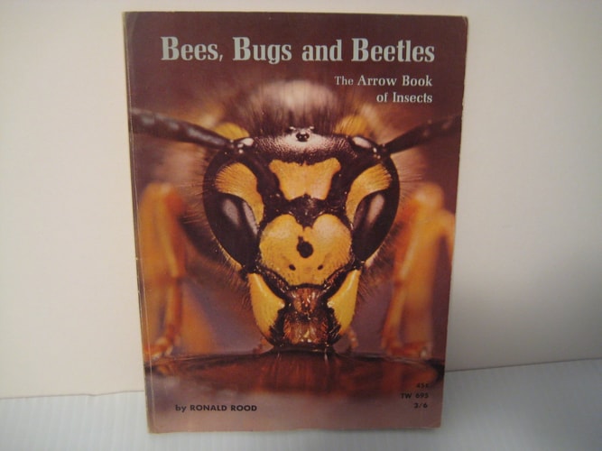 Bees, bugs, and beetles;: The arrow book of insects