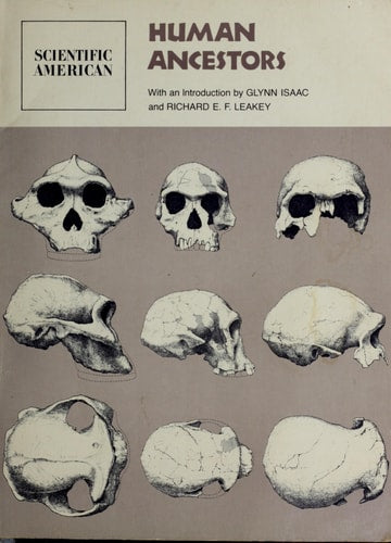 Human Ancestors: Readings from Scientific American