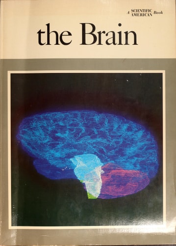 The Brain: A Scientific American Book