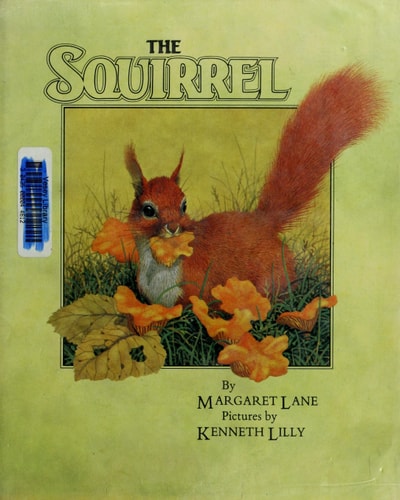 The Squirrel