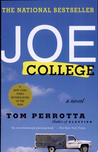 Joe College: A Novel