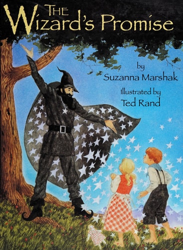 Wizard's Promise, The