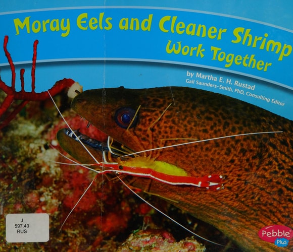 Moray Eels and Cleaner Shrimp Work Together (Pebble Plus: Animals Working Together)