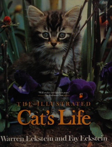 The Illustrated Cat's Life