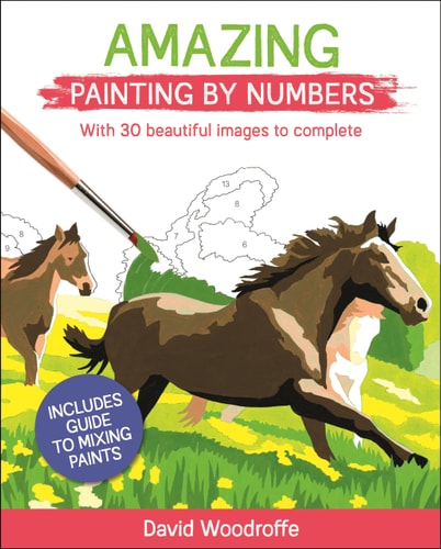 Amazing Painting by Numbers: With 30 Beautiful Images to Complete. Includes Guide to Mixing Paints (Sirius Painting by Numbers, 1)