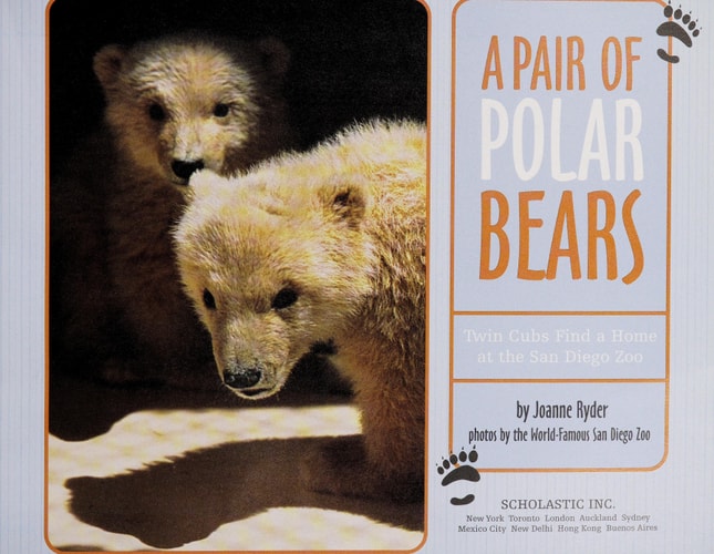 A Pair of Polar Bears (Twin Cubs Find a Home at the San Diego Zoo)