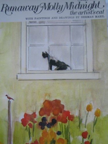 Runaway Molly Midnight The Artist's Cat
