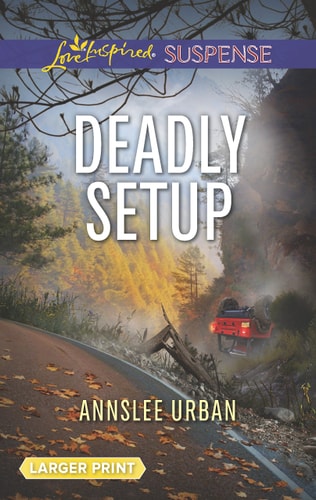 Deadly Setup (Love Inspired Suspense)