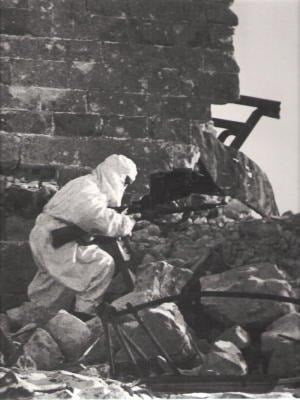 Red Army Resurgent (World War II Series)