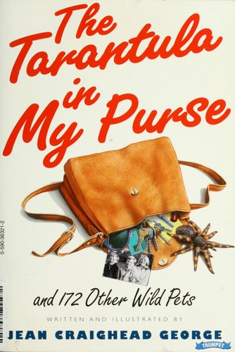 The Tarantula In My Purse