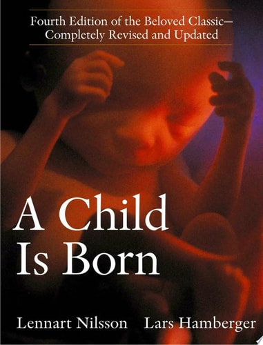 A Child Is Born