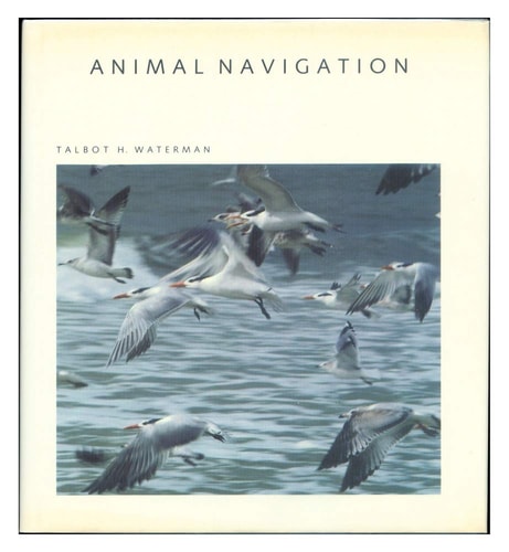 Animal Navigation (Scientific American Library)