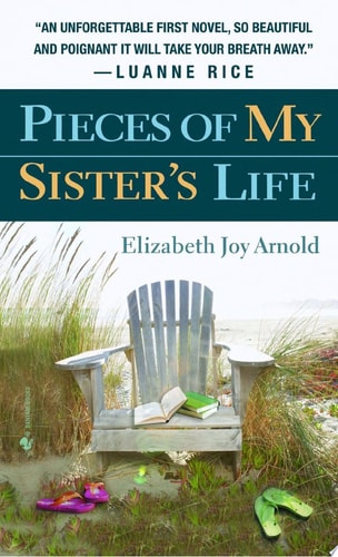 Pieces of My Sister's Life: A Novel