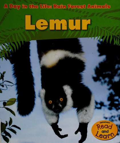 Lemur (Heinemann Read and Learn: A Day in the Life: Rain Forest Animals)