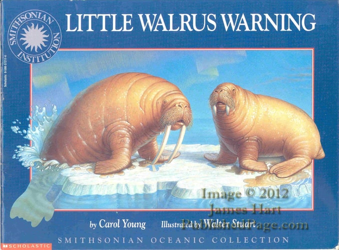 Little Walrus Warning (Smithsonian Oceanic Collection)