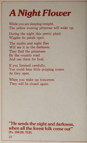 The Good Night Book