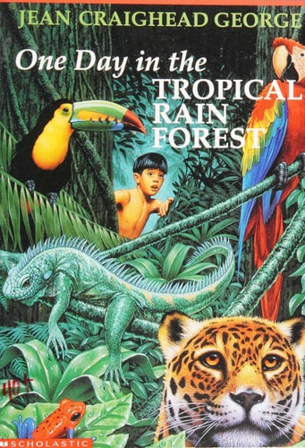 One Day in the Tropical Rain Forest