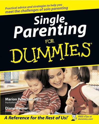 Single Parenting For Dummies