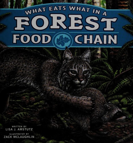 What Eats What in a Forest Food Chain (Food Chains)