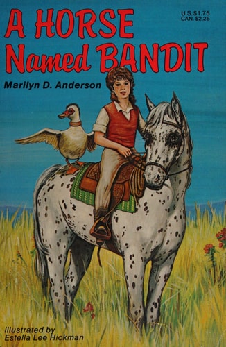 A horse named Bandit