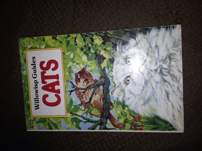 Cats (Willowisp guides)