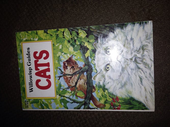 Cats (Willowisp guides)