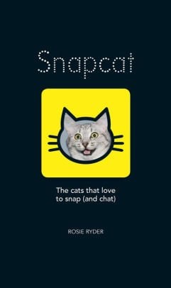 Snapcat: The Cats Who Love to Snap & Chat