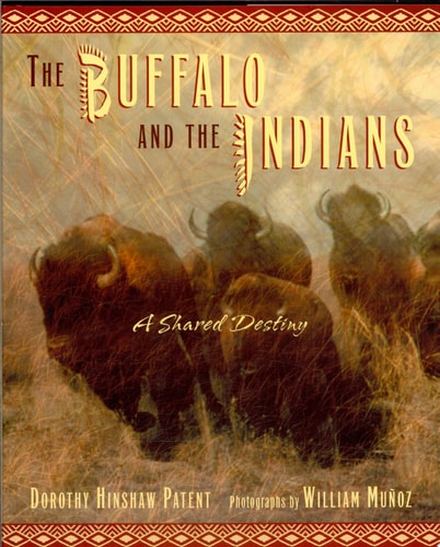 The Buffalo and the Indians: A Shared Destiny