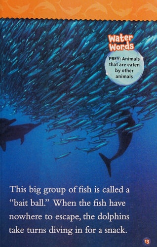 National Geographic Kids Readers: Dolphins