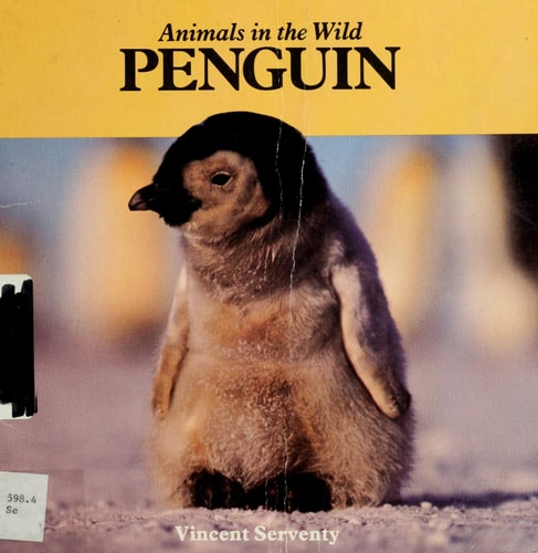 Penguin (Animals in the Wild)