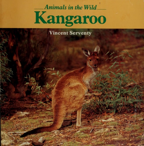 Kangaroo (Animals in the Wild)