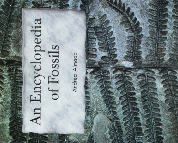 The Encyclopedia of Fossils: Leveled Reader Grade 2 (Rigby Literacy by Design)