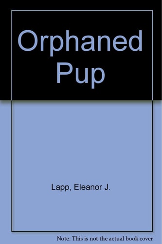 Orphaned Pup