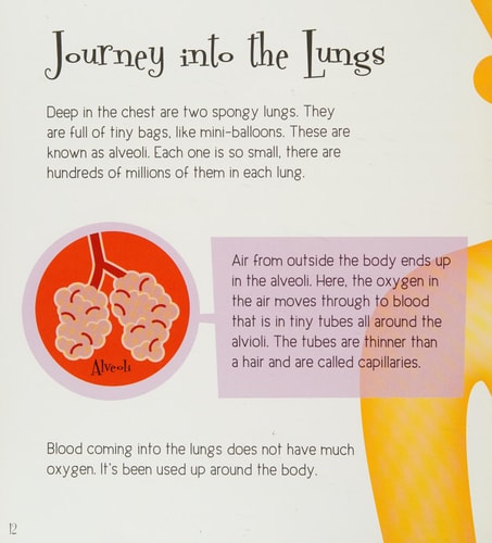 A Journey Through the Human Body