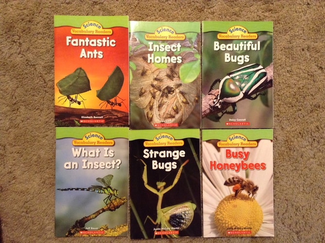 Busy Honeybees - Science Vocabulary Readers
