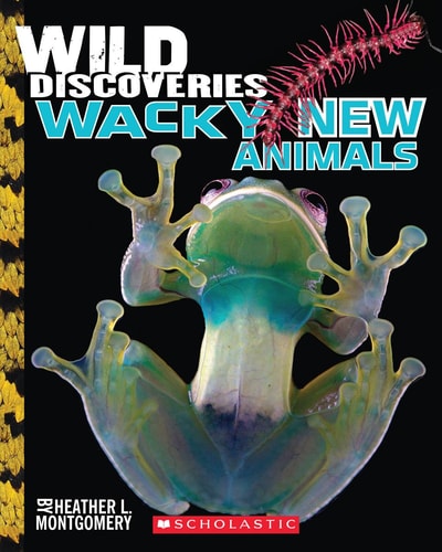 Wild Discoveries Wacky New Animals