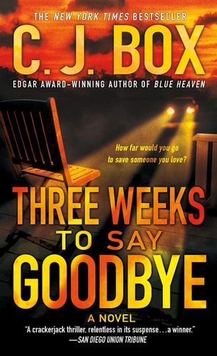 Three Weeks to Say Goodbye A Novel