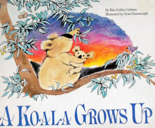 A Koala Grows Up