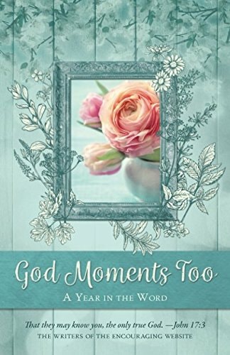 God Moments Too: A Year in the Word (God Moments: A Year in the Word)
