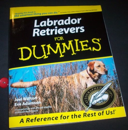 Labrador Retrievers For Dummies