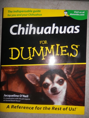 Chihuahuas For Dummies