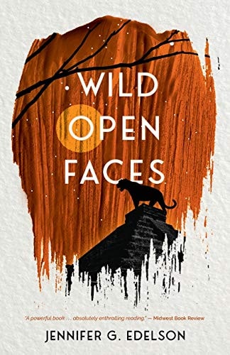 Wild Open Faces: Book 2 in the Wild and Ruin Trilogy