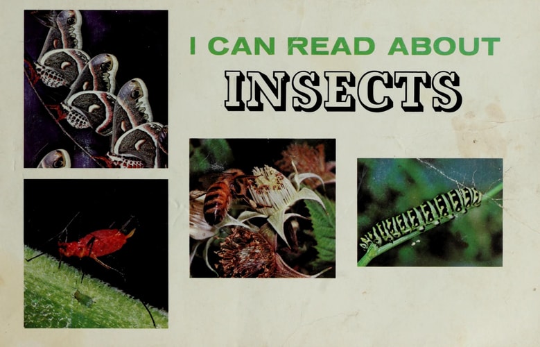 I Can Read About Insects