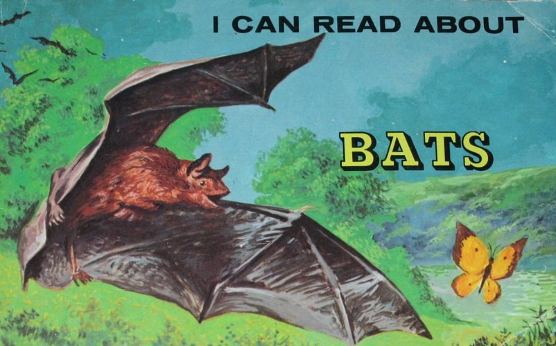 I Can Read About Bats