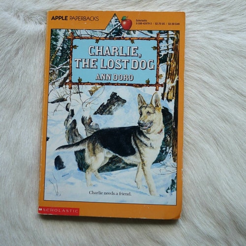 Charlie, the Lost Dog