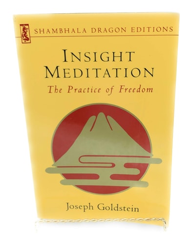 Insight Meditation (Shambhala Dragon Editions)