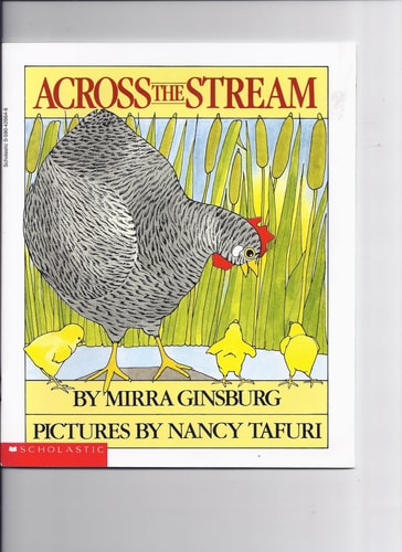 Accross The Stream