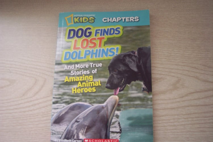 Dog Finds Lost Dolphins And More True Stories of Amazing Animal Heroes